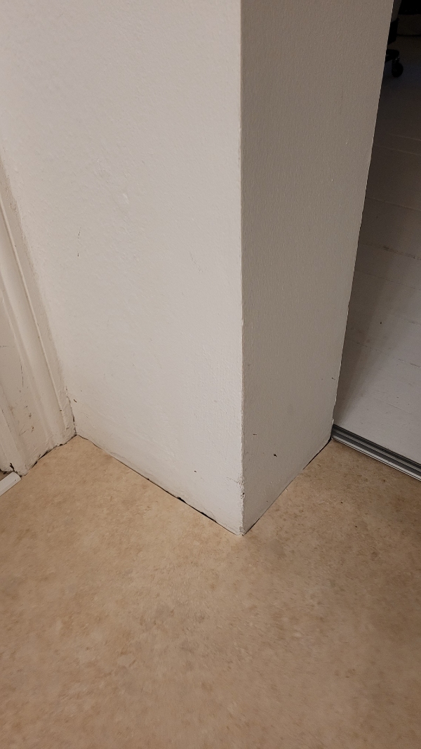 Diverse tømrer (og lidt andre) opgaver, som fx at påsætte forlister, sætte en lampe og et par billeder op samt sætte et vindue i, hvor en dør har siddet