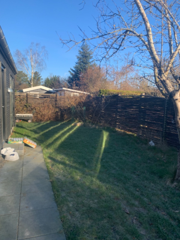 Nedtagning af råddent hegn samt plantet bøgehæk