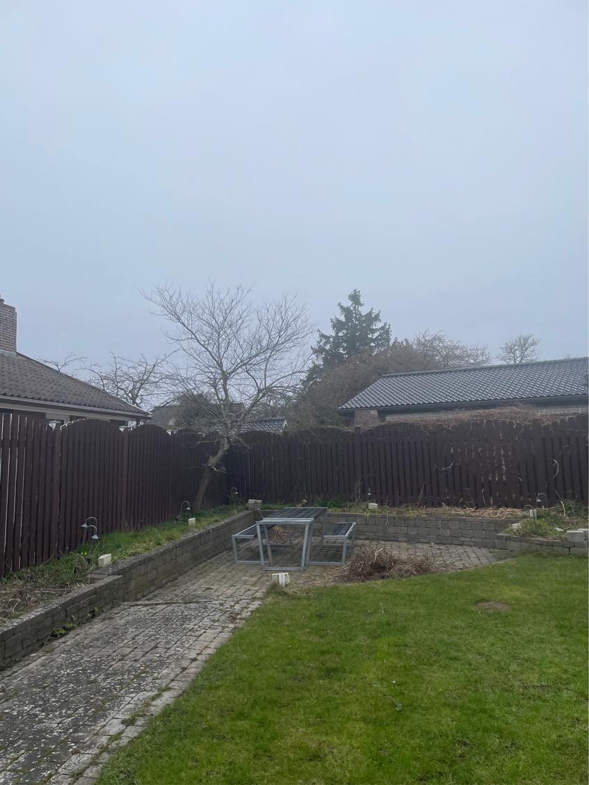 Oprydning af forhave og have