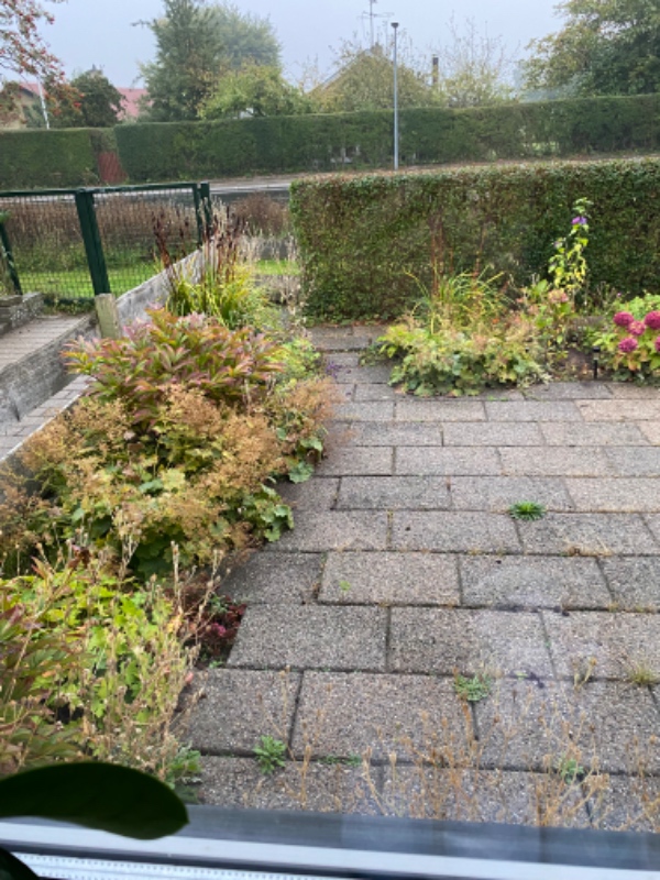 Pleje og vedligehold