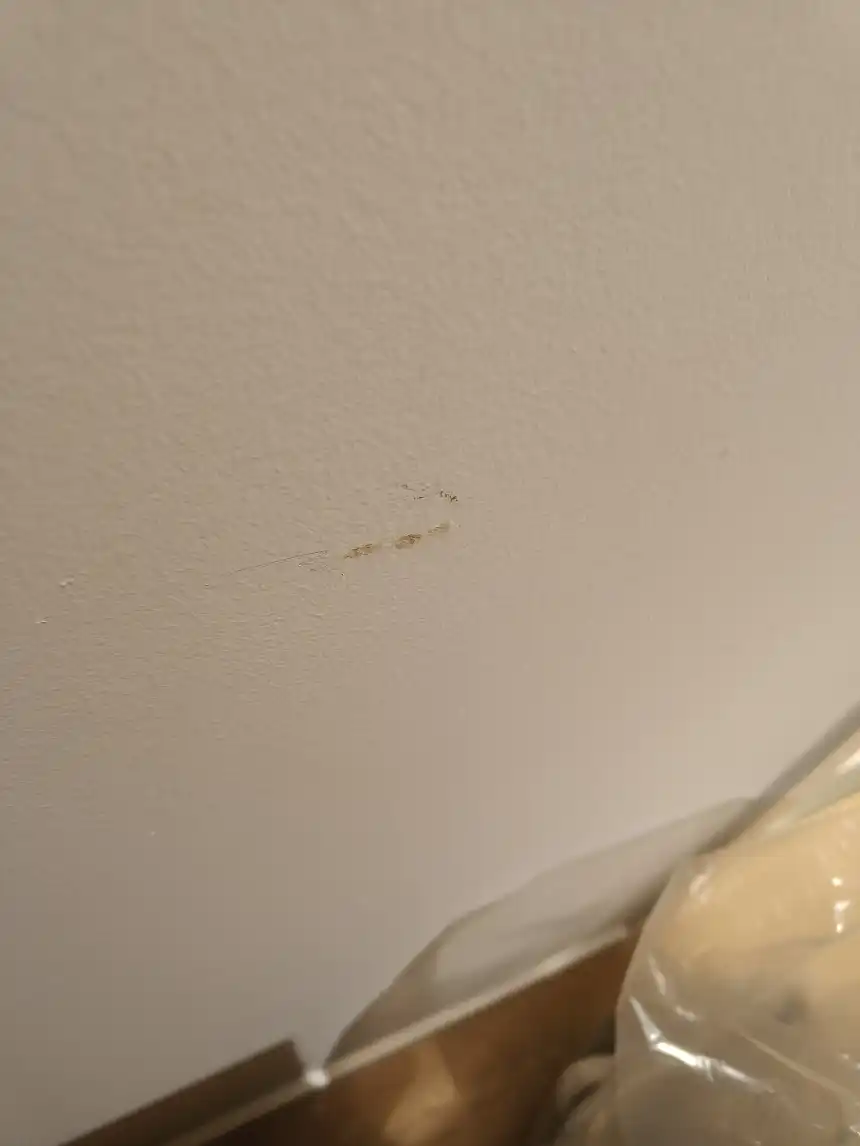Reparere små skader på vægge i forbindelse med flytning