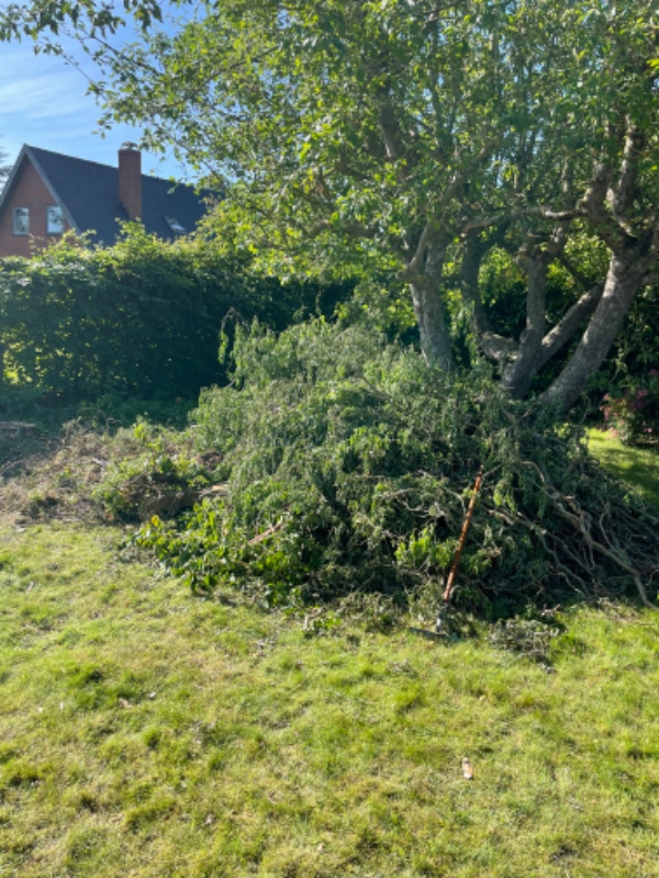 Have affald kørt væk