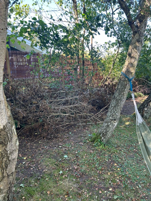 Bortkørsel af affand