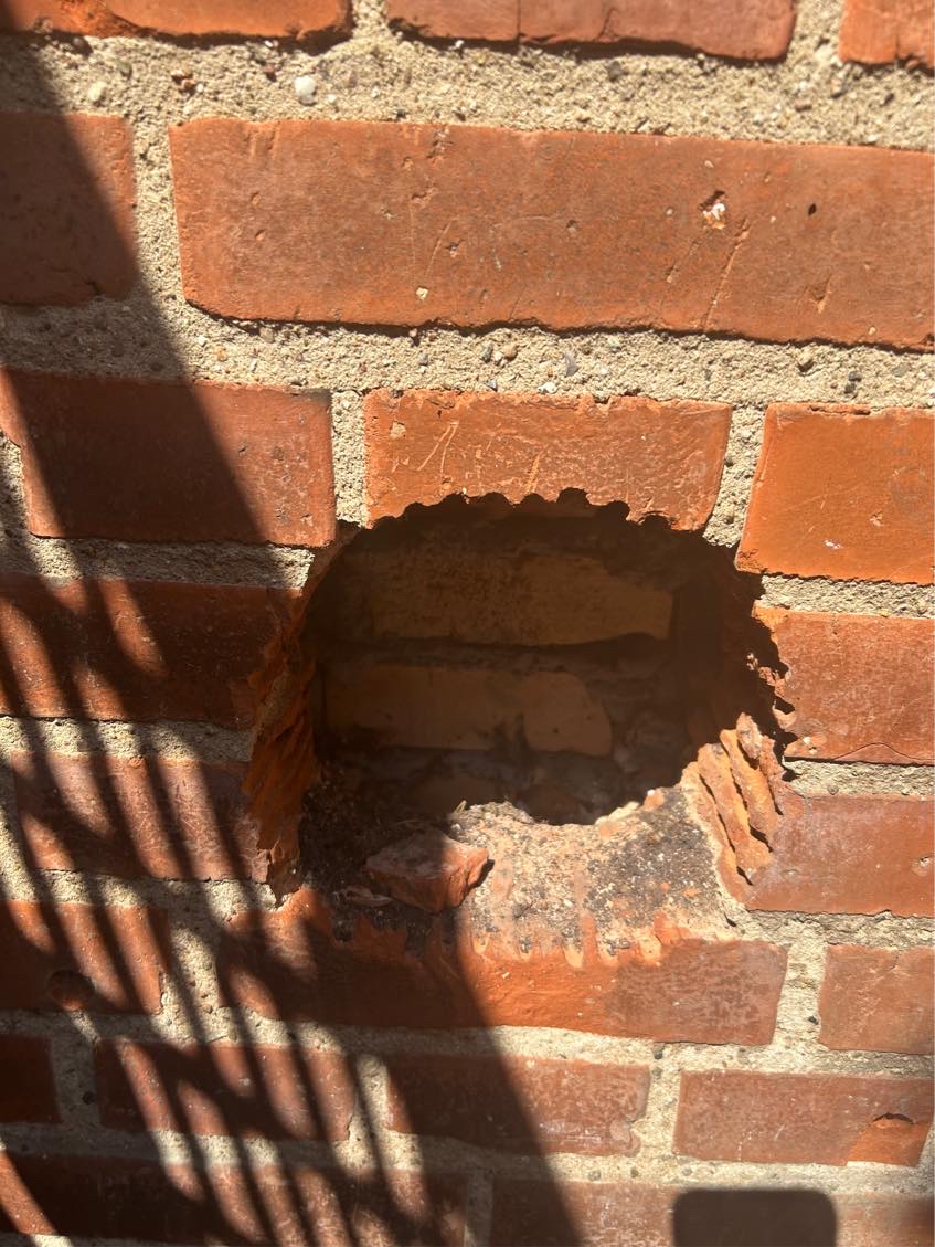 Vi har muligvis murbier i vores husfacede.