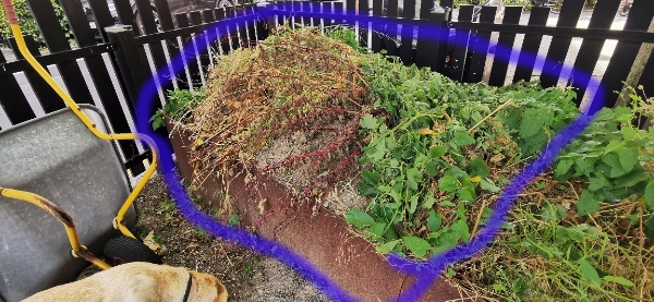 Fjernet 2,5 m2 haveaffald