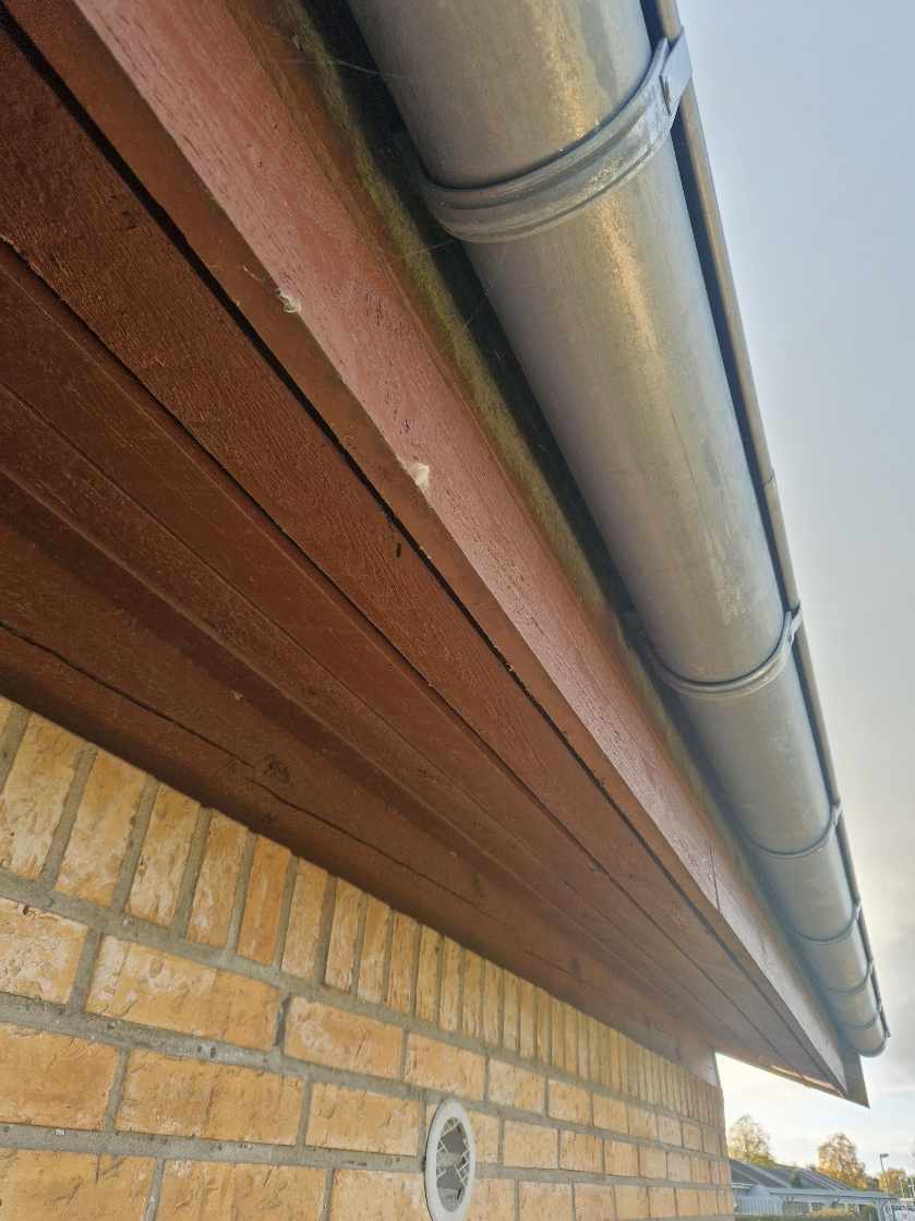 Maling af husmur og udhæng