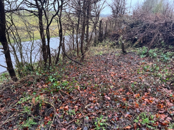 2 Nye indkørsler samt div.