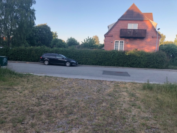 Klipning af hæk ca. 30m