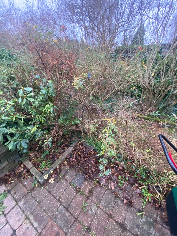 Fjernelse af tornebusk