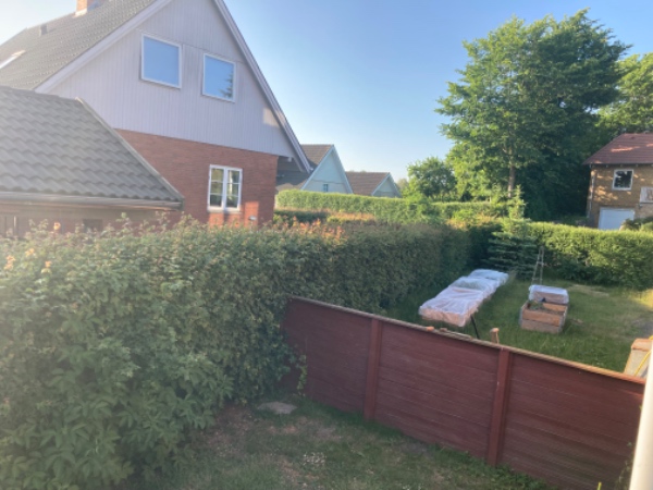 Klippet hæk på 4 sider