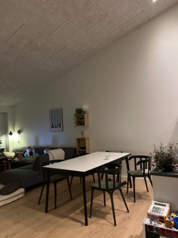 Hæng to spisebordslamper op - i ca. 3,5-4 meters højde