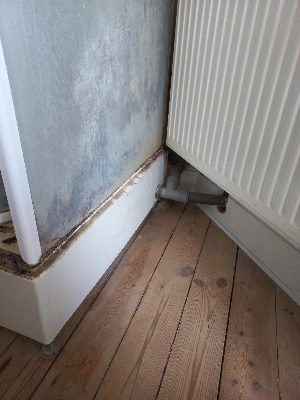 VVS-opgaver: frakoble brusekabine og håndvask i soveværelse + frakoble gaskomfur og tilkoble nyt