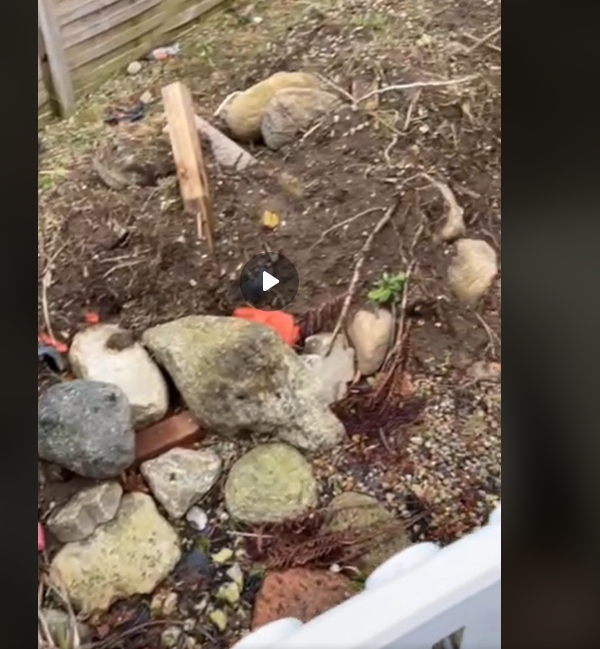 Afhentning af jord osv