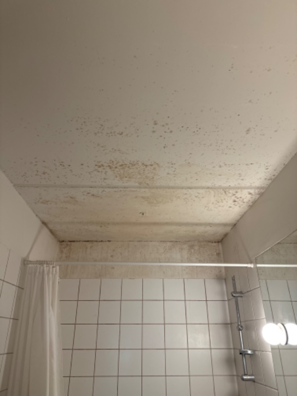 Maling af badeværelse
