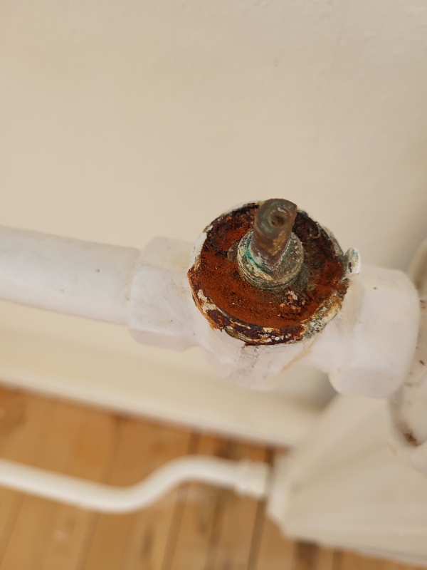 Udskiftning af radiatortermostat