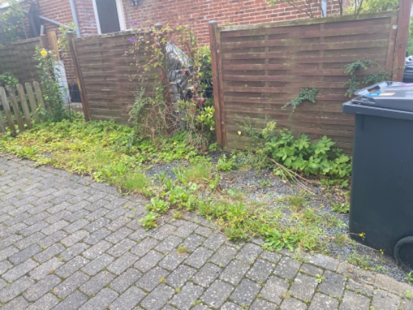 Fjernelse af ukrudt rundt om hus