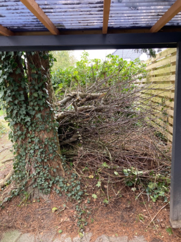 Flytte haveaffald på genbrugspladsen