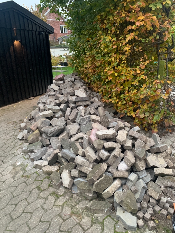 Fjernelse af SF-sten og blandet træ