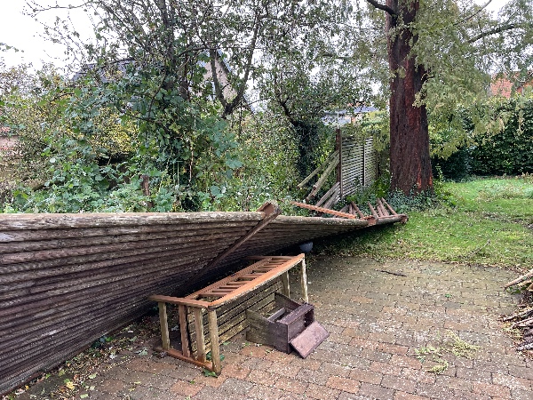 genopretning af væltet hegn under storm