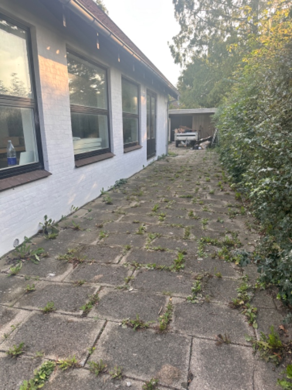 fjernelse af ukrudt foran bygningen og i indkørslen