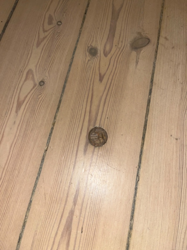 Udfyldning af 2cm diam. hul i trægulv