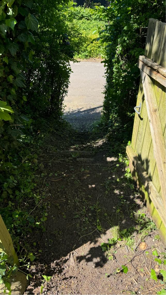 Fjernelse af grenaffald 