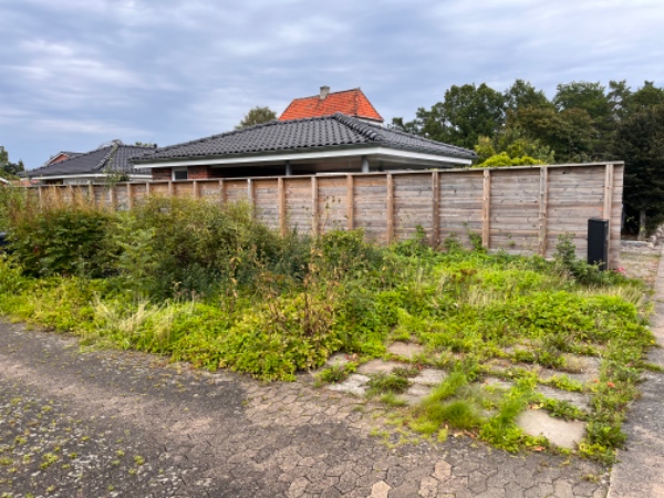 Rydde havestykke og gøre klar til græssåning