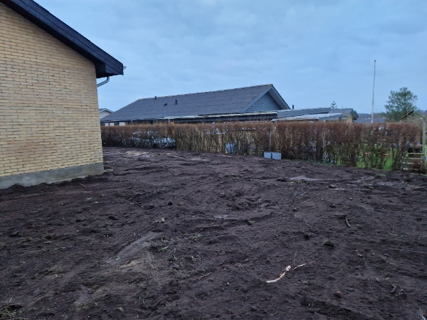 Anlæg af græsplæne