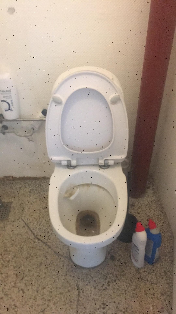Nyt toilet