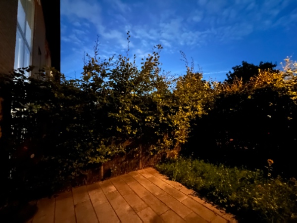 Hækkeklip med bortkørsel af grene. Meget høj hæk trimmes ned og ind - ca. 10-12 løbende meter.