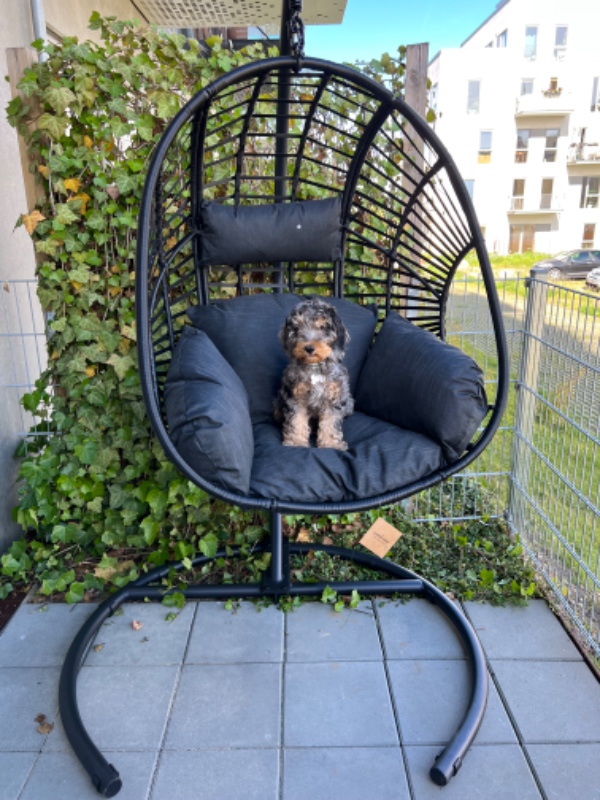 Mindre flytning af 3 mellemstore møbler