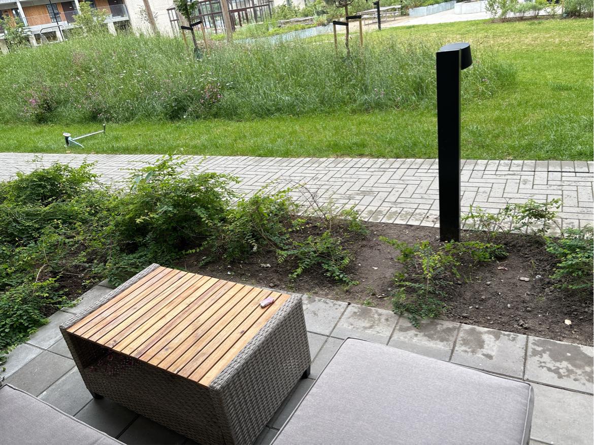 Ligges græs og sættes hegn op