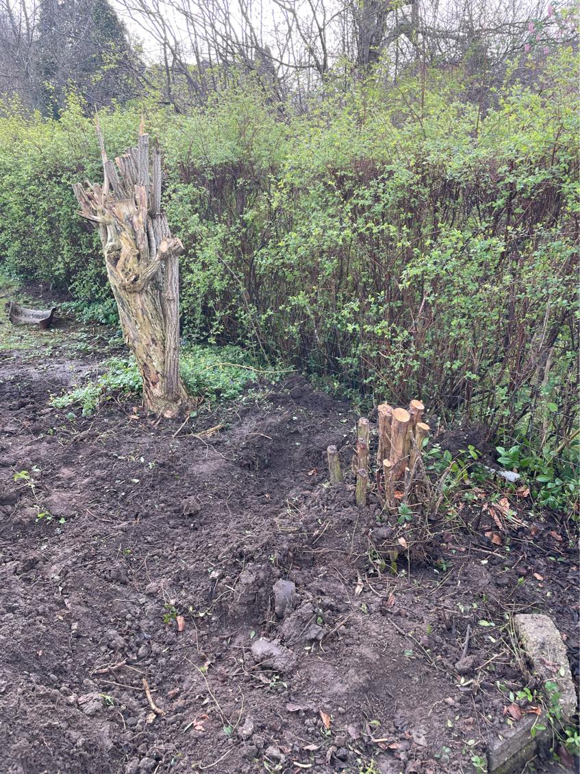 Stubfræsning af træstammer 