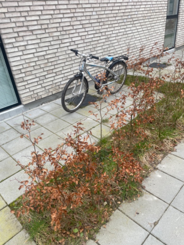 Fjernelse af ukrudt og barkflis