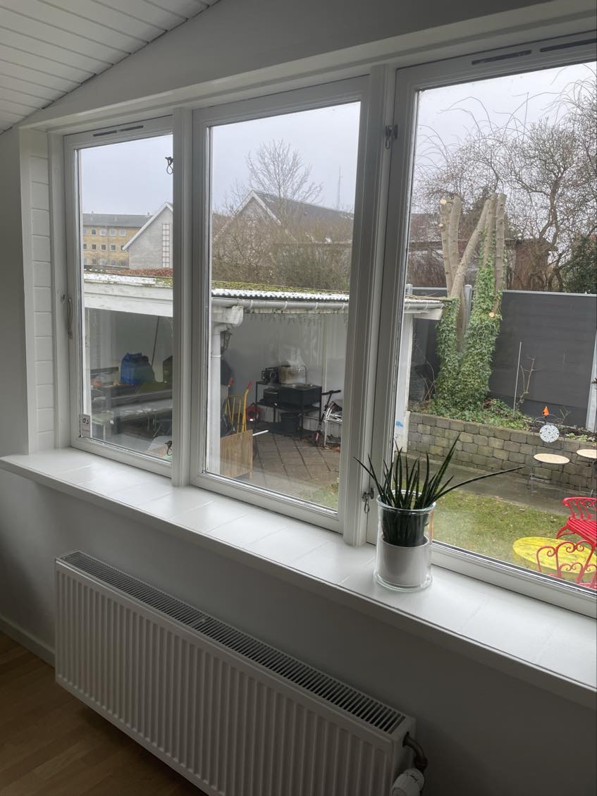 Renovering af skur + udskift af taget på garage + udskift af et par dør