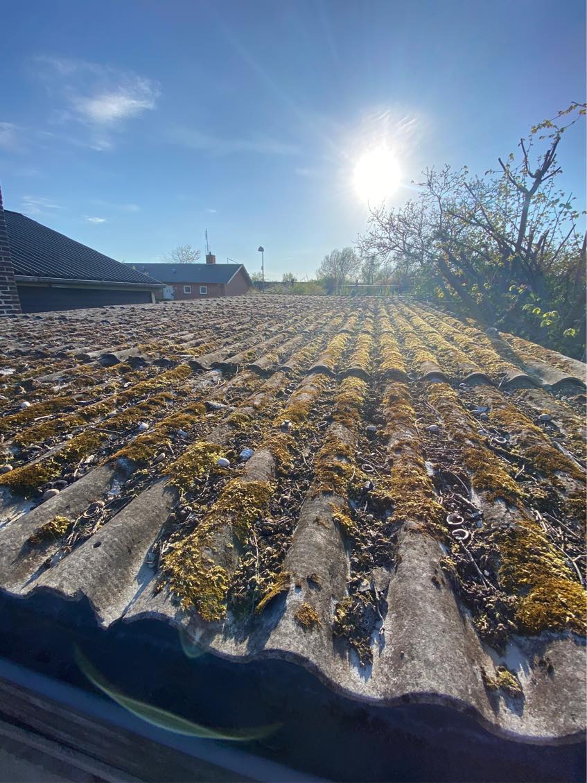 Nedrivelse og bortkørelse skur