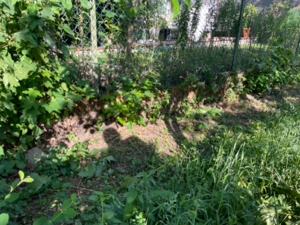 Bygge støttemur i have