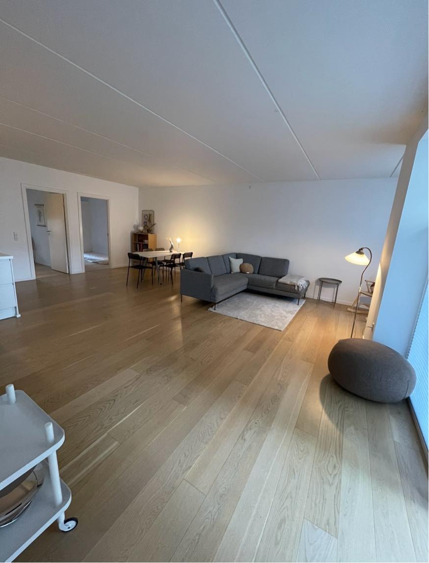 Maling af 100 m2 lejlighed