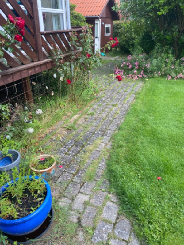 Fjernelse af ukrudt rundt om hus