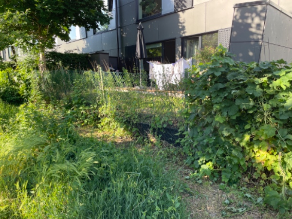 Bygge støttemur i have