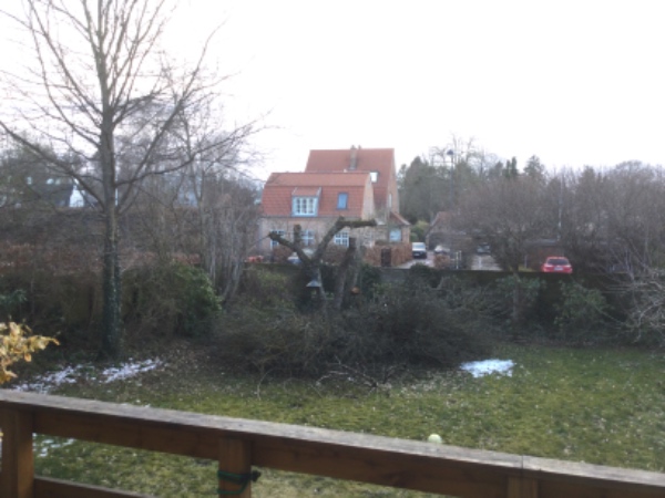 Beskåret træer og kørt haveaffald/grene væk