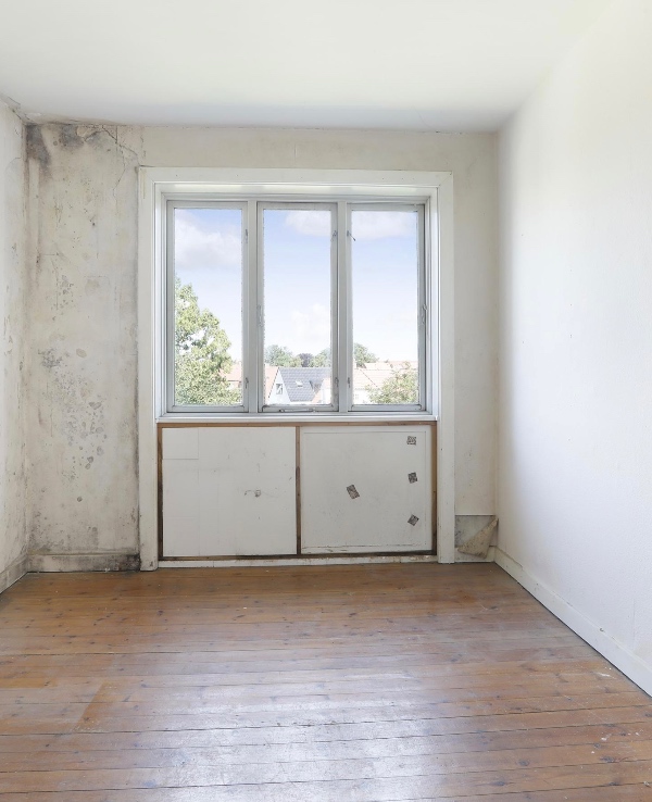 Fjernelse af skimmelsvamp