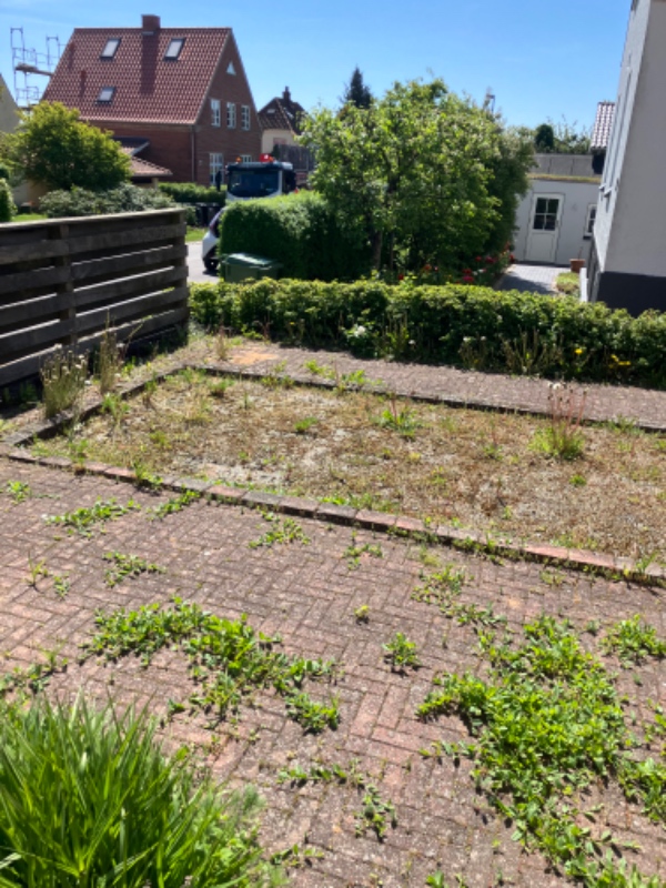 Fjernelse af ukrudt på fortorv