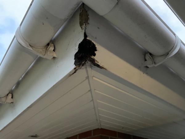 Udskiftning af et hjørne af vindskeder