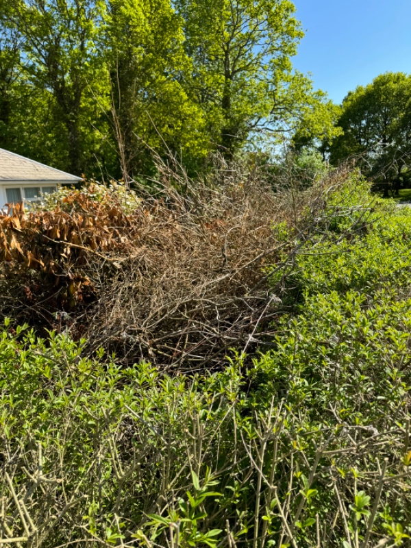 Haveaffaldsafhentning i Kolding