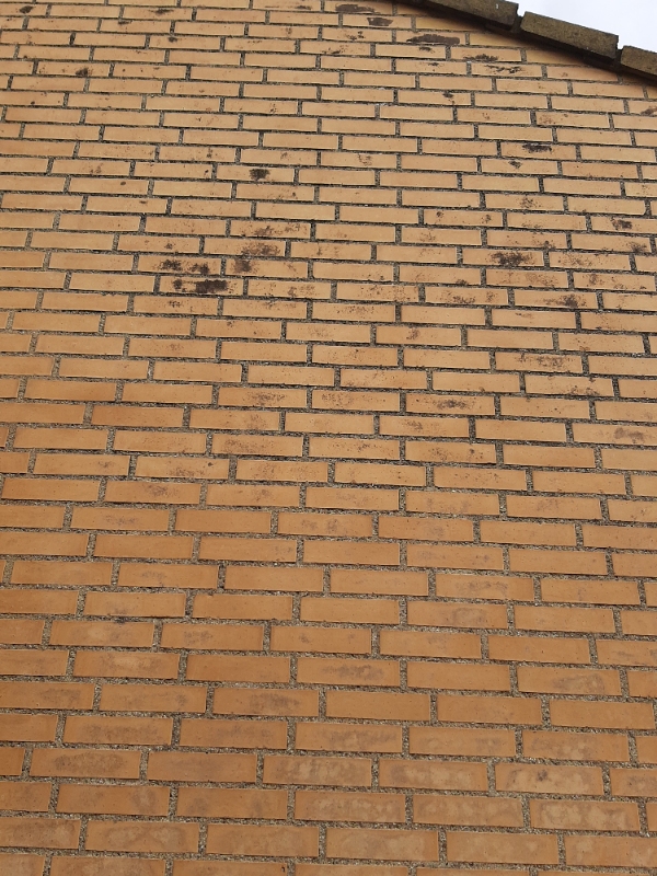 Gul murstensgavl renses for sorte plamager. Ikke et stort område men højt oppe. Vi har stige og de