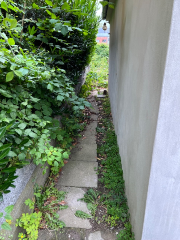 Haveoprydning og affaldskørsel