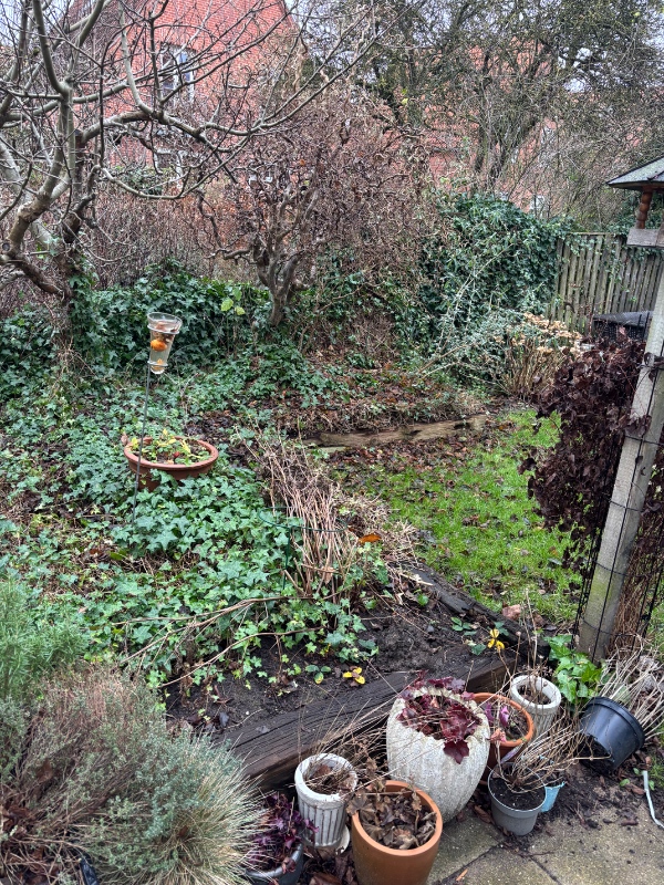 Genbrugsplads og fjernelse af brædder i have