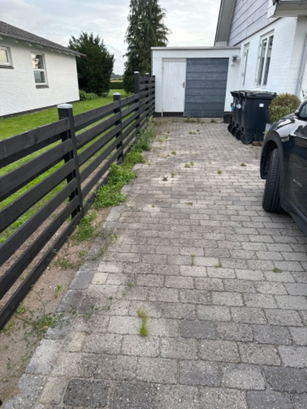 Fjerne ukrudt fra fliser og hæk