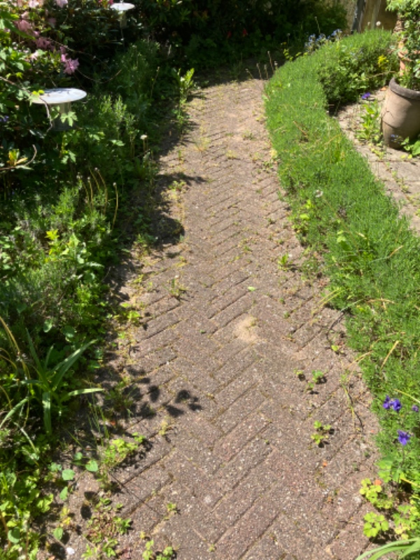 Fjernelse af ukrudt på fortorv